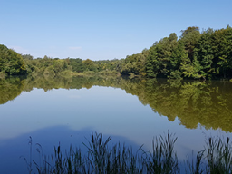 Wanderungen &raquo; Wanderungen 2023 &raquo; Jägersburg20230820